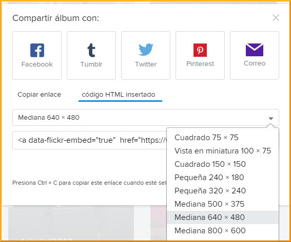 Elección de tamaño y código para incrustar